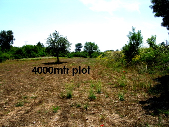 Mian View 4000mtr plot