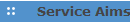  Service Aims