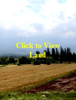 Buy Land