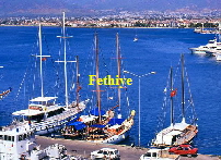 Placeholder  Image
