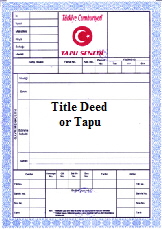 Placeholder  Image